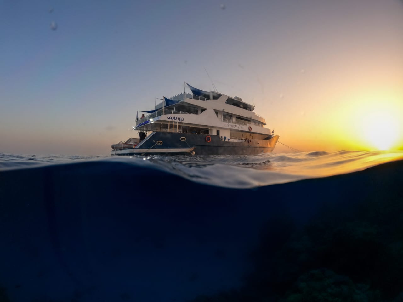 New Life Safari Boat