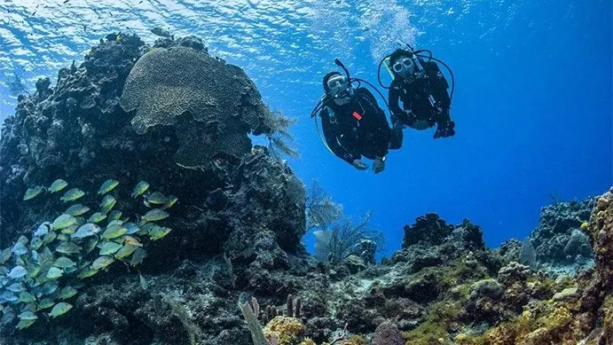 Discover Scuba Diving