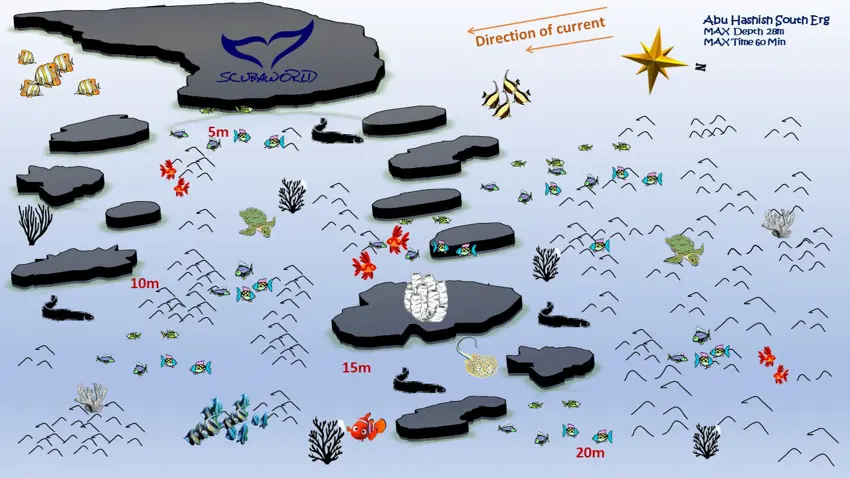 Abu Hasheesh South Erg