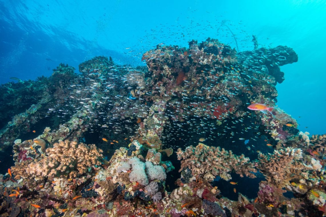 Abu Nuhas Reef