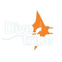 DiveTribe Logo