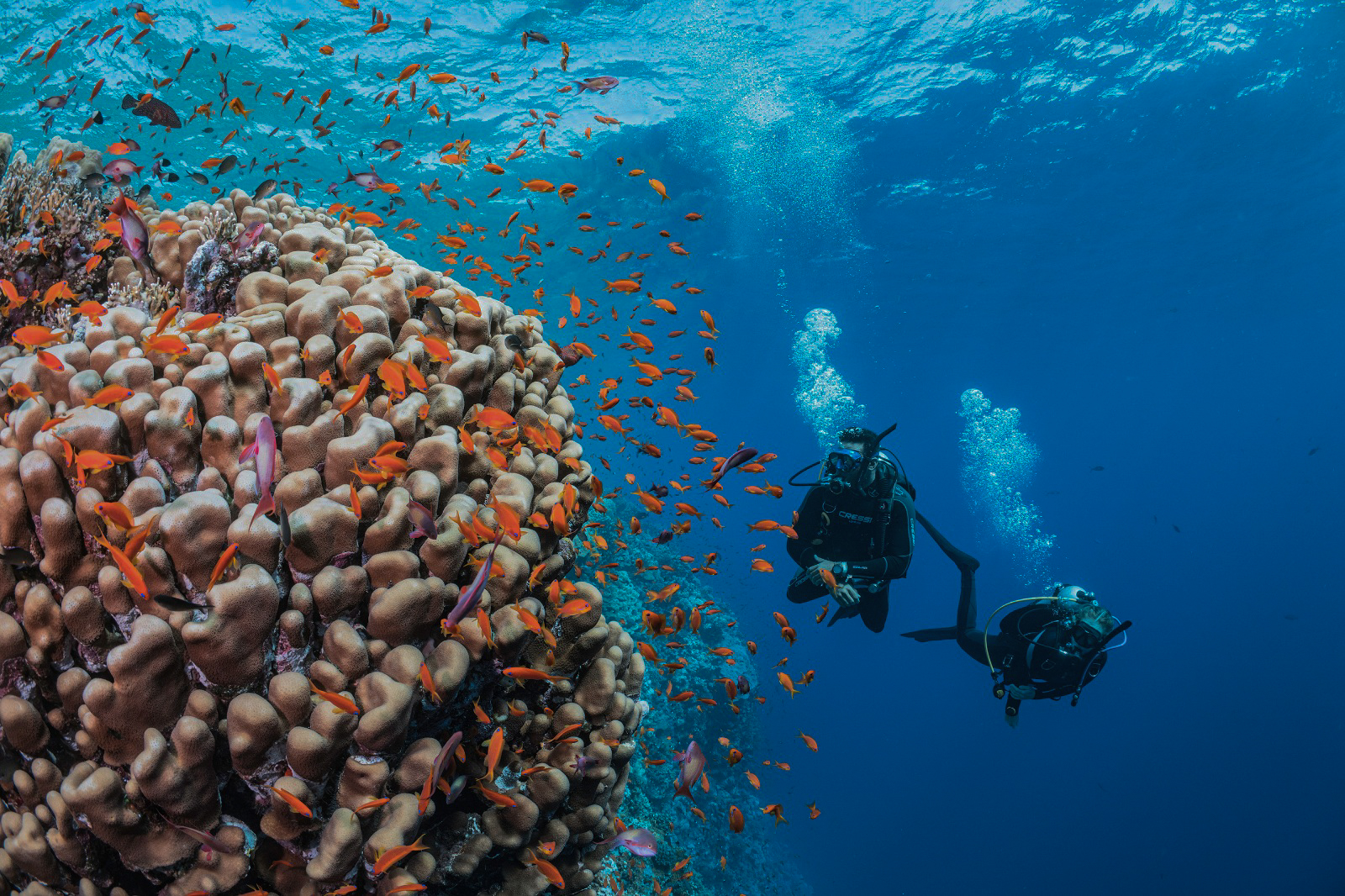 Scuba divers hovering over a deep coral reef structure