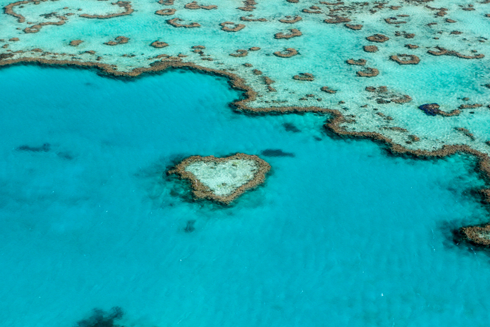 Healthy coral reef buffering ocean waves near the coast