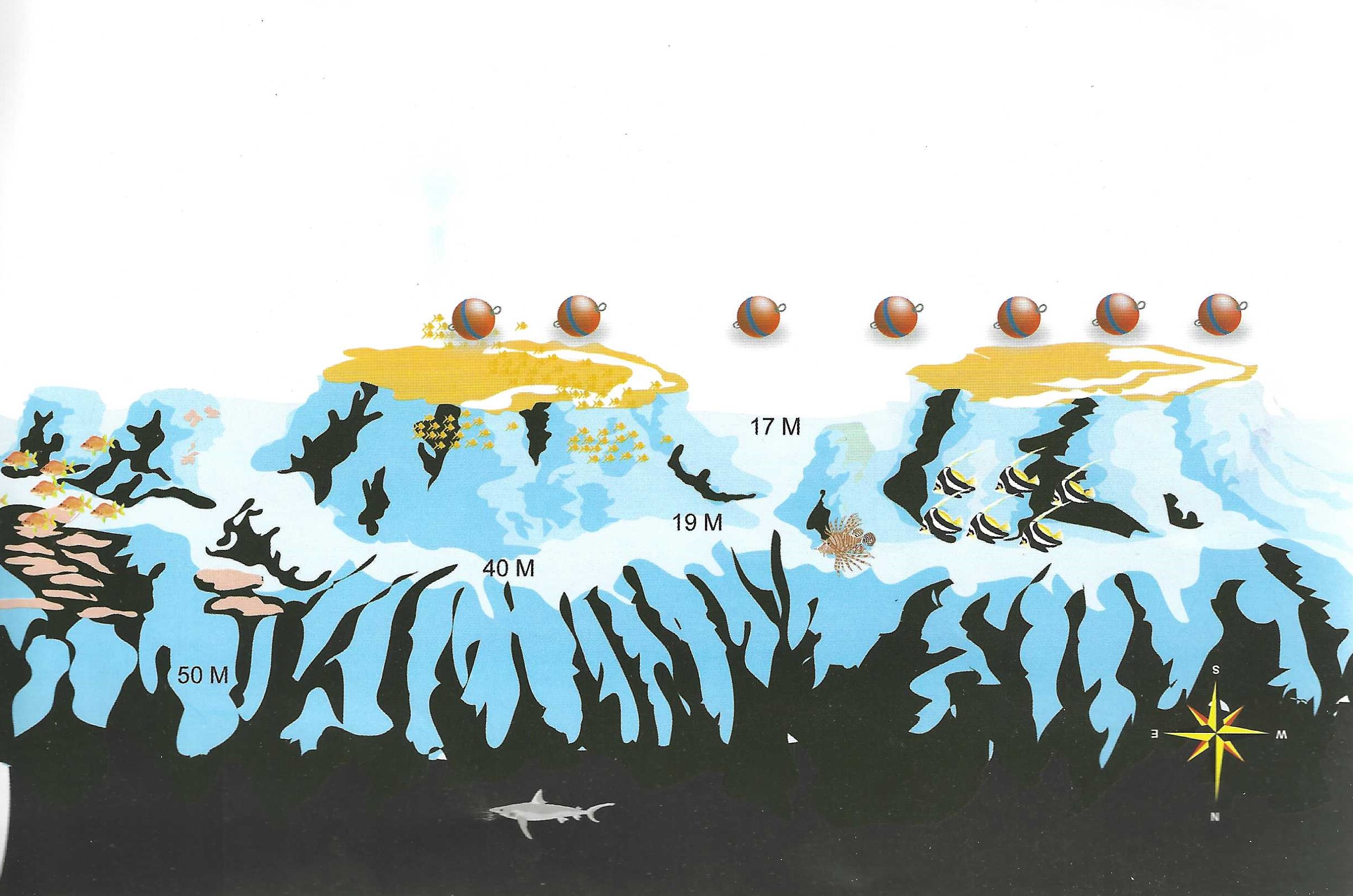 Careless Reef dramatic underwater landscape